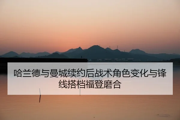 ha-lan-de-yu-man-cheng-xu-yue-hou-zhan-shu-jue-se-bian-hua-yu-feng-xian-da-dang-fu-deng-mo-he-2-981.jpg