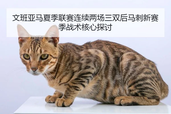 文班亚马夏季联赛连续两场三双后马刺新赛季战术核心探讨