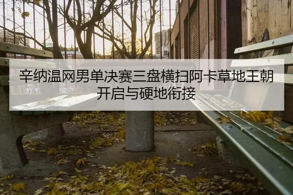 辛纳温网男单决赛三盘横扫阿卡草地王朝开启与硬地衔接