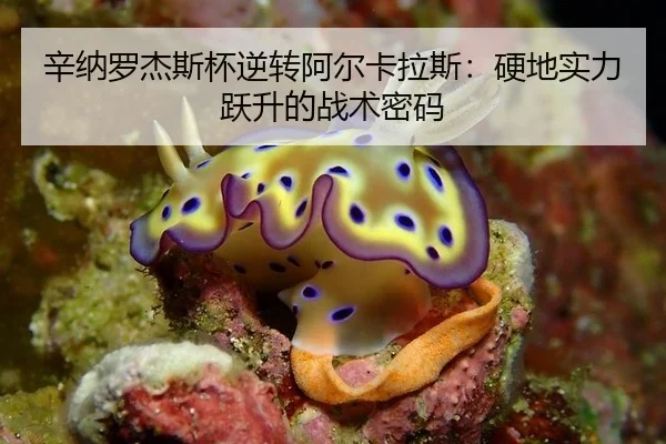 辛纳罗杰斯杯逆转阿尔卡拉斯：硬地实力跃升的战术密码